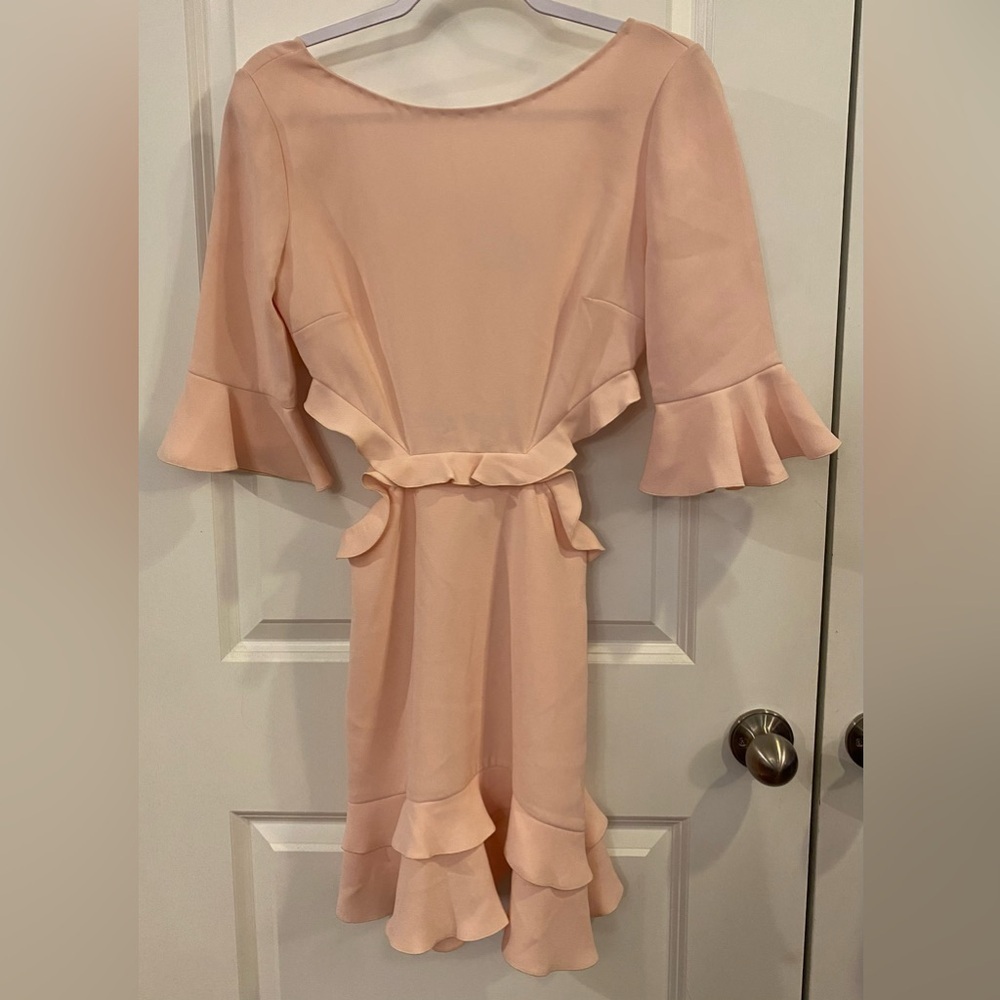 Rachel Zoe Karly Mini Dress Sz 2 Pink Ruffled Hem, Sleeves, Waist